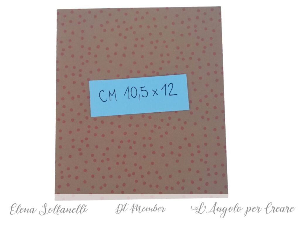 memorydex frange  3