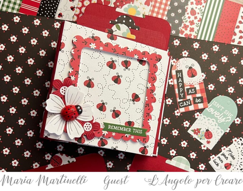 mini album con tag 10