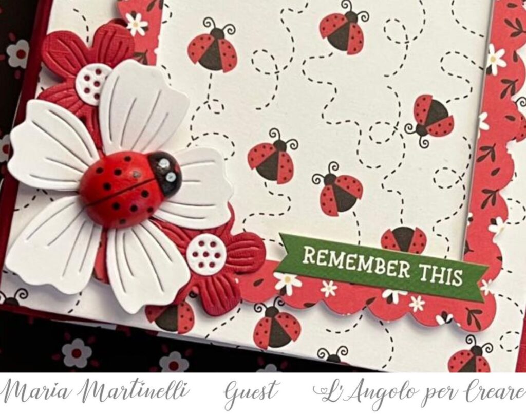 mini album con tag 11