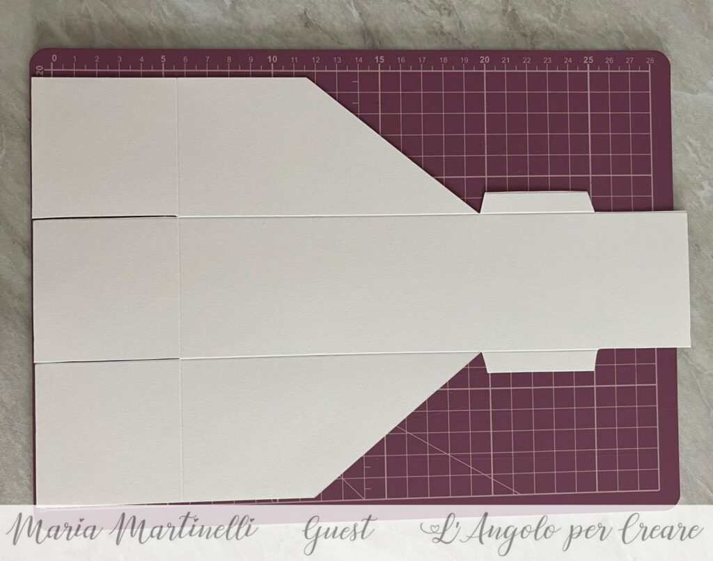 packaging portabottiglie 14