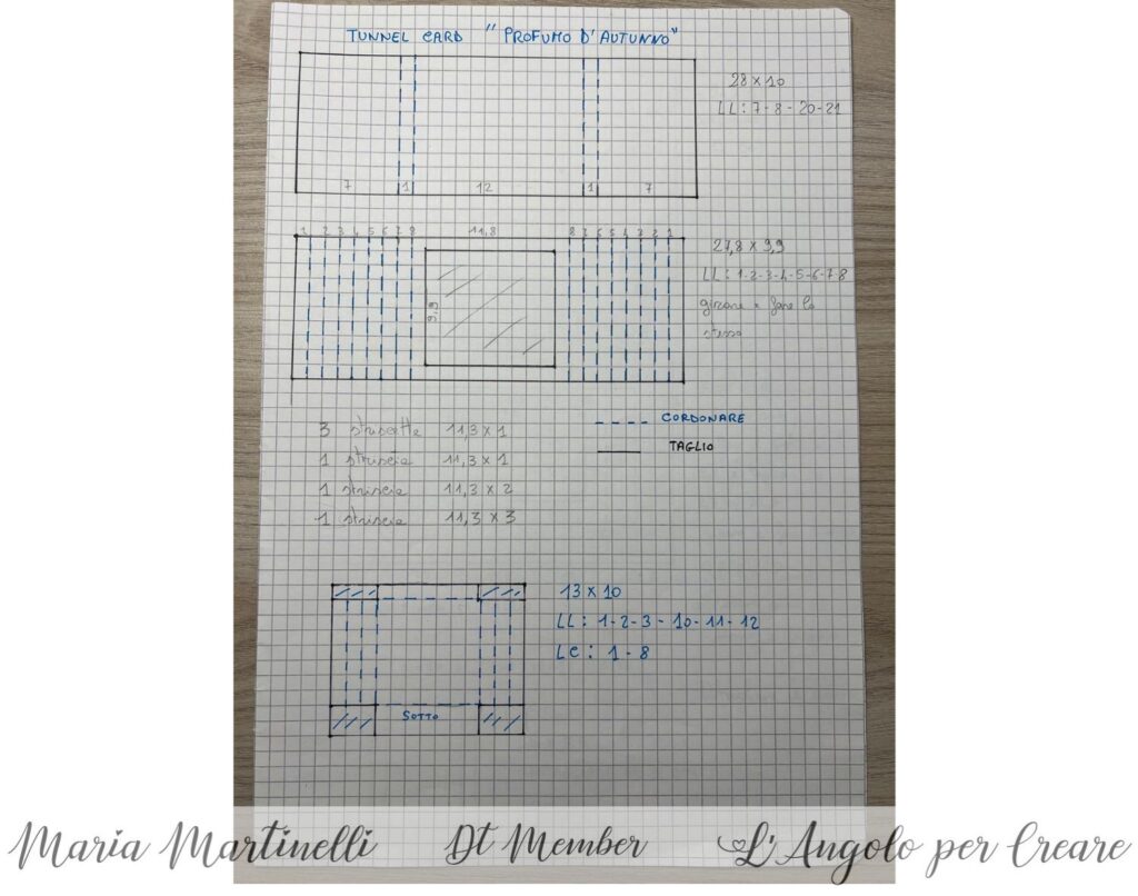 tunnel card schema