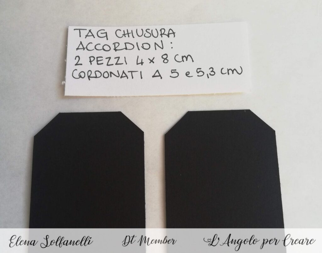 mini album un tocco di colore 3