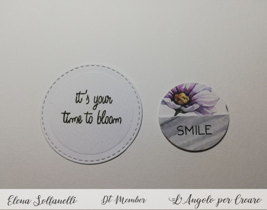 card fiorita 5