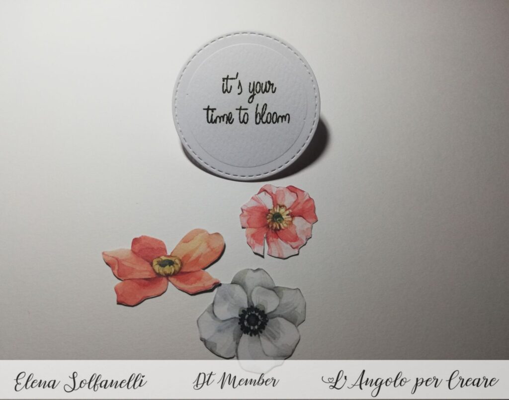 card fiorita 3